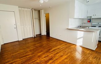 Studio, 1 bath, 356 sqft, $1,280, Unit 410