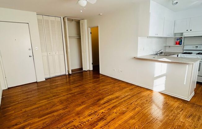 Studio, 1 bath, 356 sqft, $1,280, Unit 410