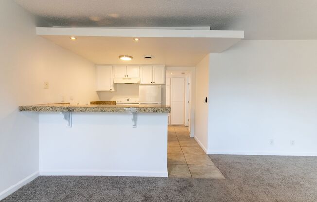 1 bed, 1 bath, 500 sqft, $1,550, Unit B