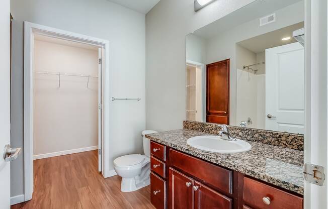 a bathroom with a sink and toilet and a mirror