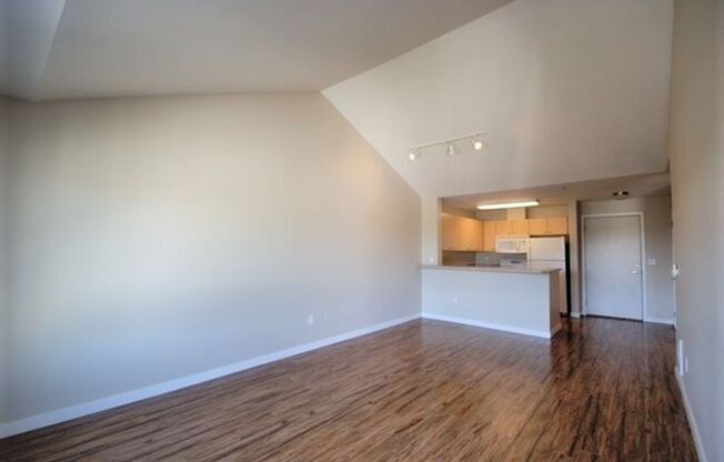 1 bed, 1 bath, 650 sqft, $1,650, Unit 307