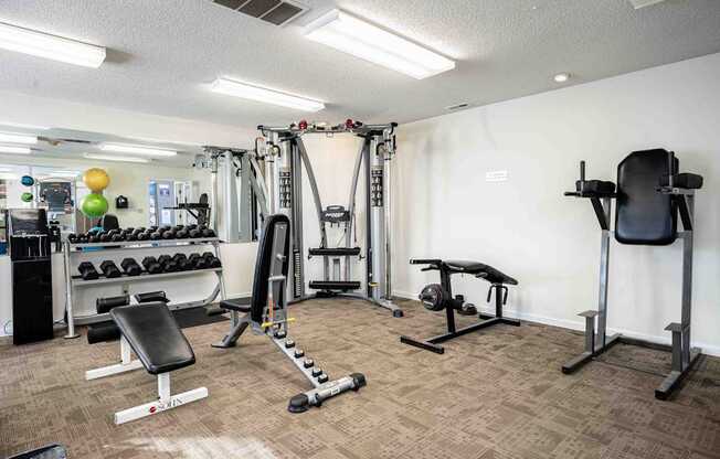 A well-equipped gym with various fitness machines and weights.