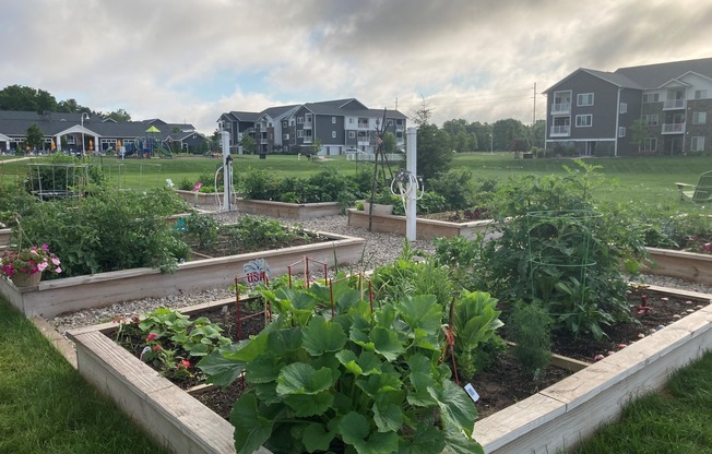 Community Gardens with private plots