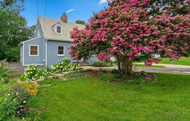 Renovated Cape Cod with Den, Garage, Driveway & Spacious Backyard