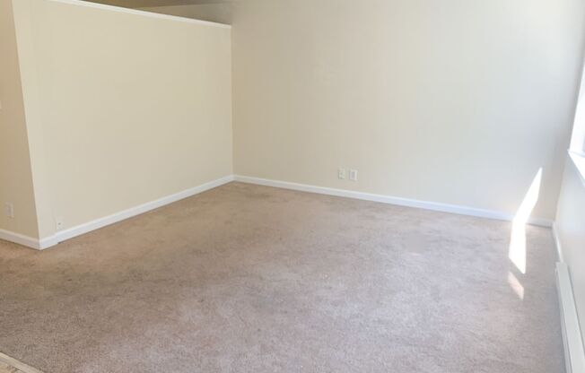 1 bed, 1 bath, 475 sqft, $1,395, Unit 203