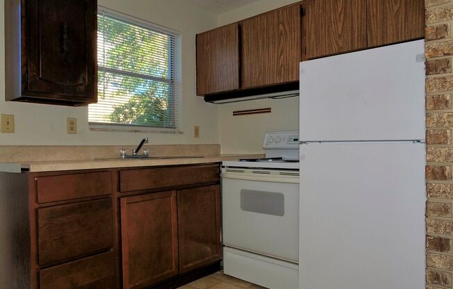 Downtown 1 bdrm apt