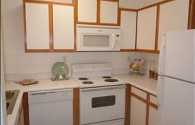 1 bed, 1 bath, 730 sqft, $1,031, Unit B306
