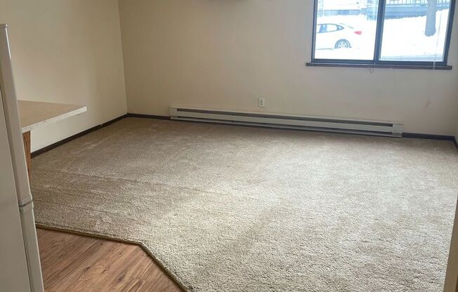 Studio, 1 bath, 300 sqft, $980, Unit 102-103