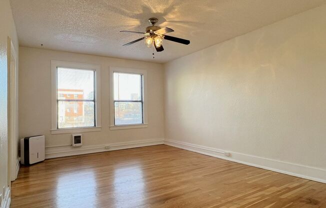 Studio, 1 bath, 518 sqft, $1,245, Unit 317