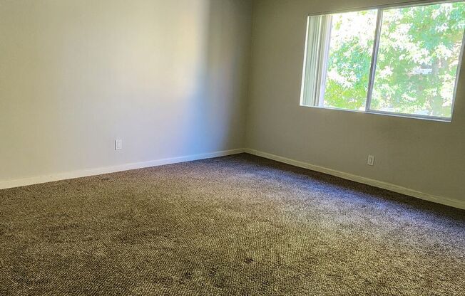 1 bed, 1 bath, 720 sqft, $1,850, Unit 36