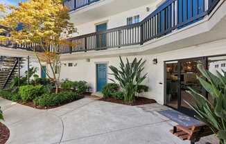 A tree with yellow leaves is in front of a white building with a blue door.