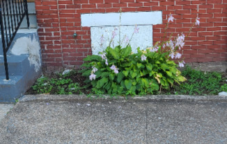 1913 BELLEVUE RD