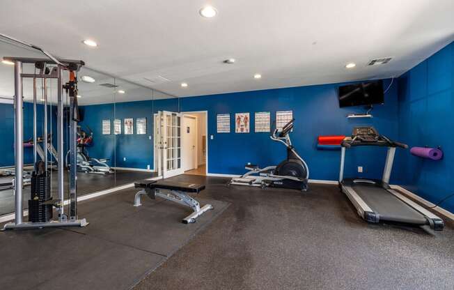 a gym with cardio equipment and weights on the floor and blue walls