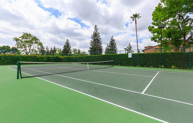 a green ball on a court with a racket