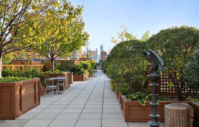 1 bed, 1 bath, $6,400, Unit 1209