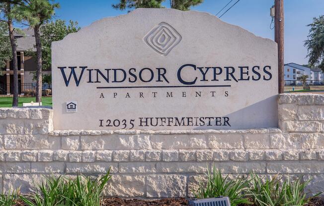 Windsor Cypress