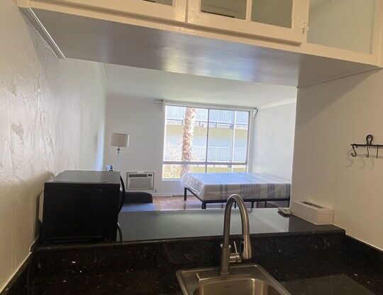 Studio, 1 bath, 368 sqft, $1,950, Unit 239