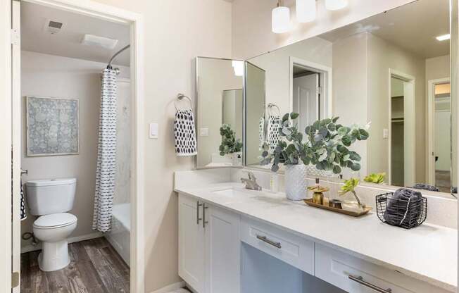 a bathroom with a large mirror and a toilet