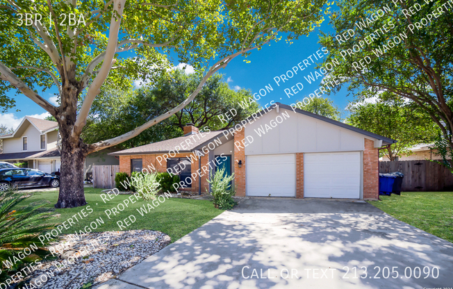 13906 TANGLE TREE ST