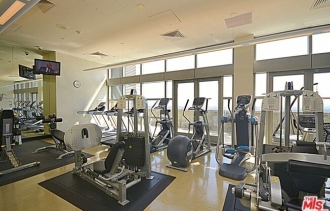 1 bed, 1 bath, 920 sqft, $2,800, Unit 1309