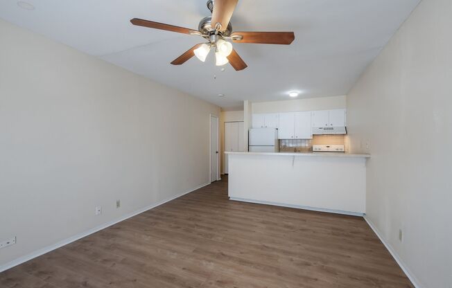 Studio, 1 bath, 445 sqft, $750, Unit 206