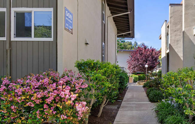 a walkway between two buildings with flowers on both sides of the walkway