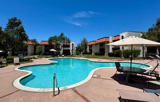 Upgraded 2 Bedroom 1 Bath Condo In Casa Del Cerro, Central A/C, Pool