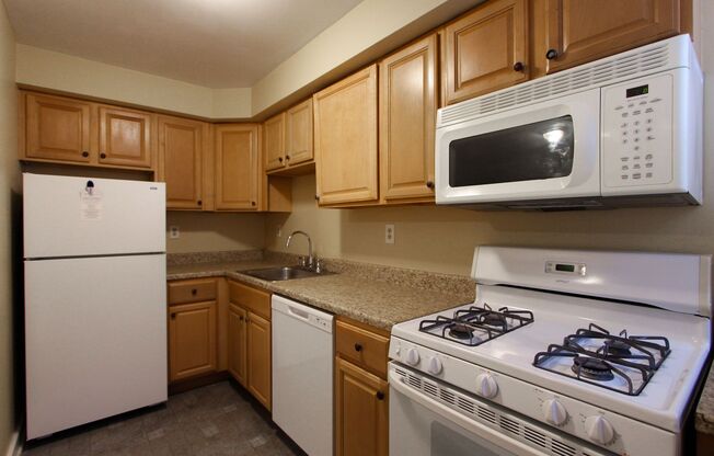 Treehaven Apartments