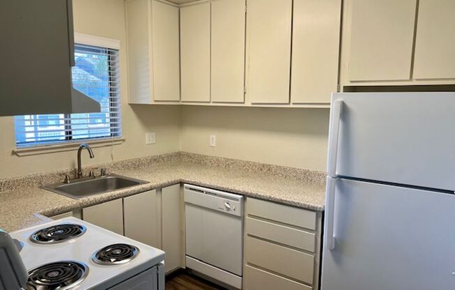 1 bed, 1 bath, 700 sqft, $1,500, Unit 90