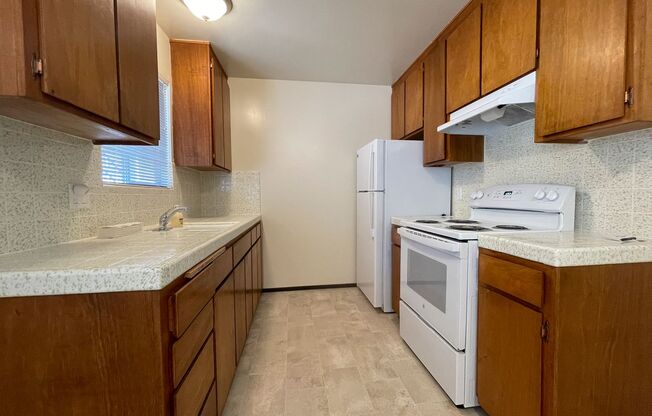 Updated Large 1 bedroom 1 bath Sunny & Bright SSF