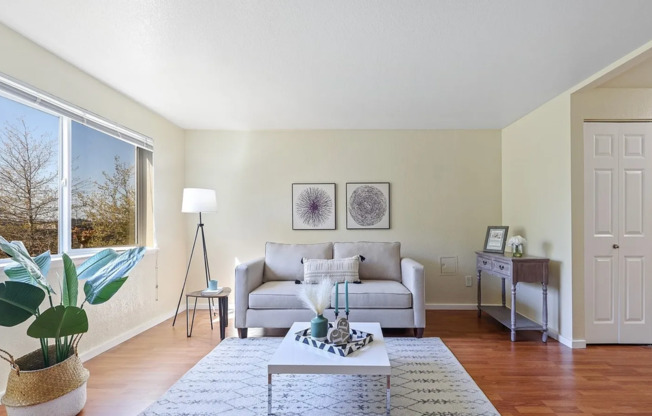 Stunning 2 Bed 2 Bath Bellevue Condo w/ Community Pool, Cabana, Exercise Room and More!