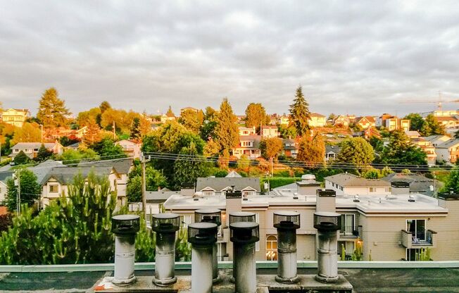 1 bed, 1 bath, 475 sqft, $1,550, Unit 404