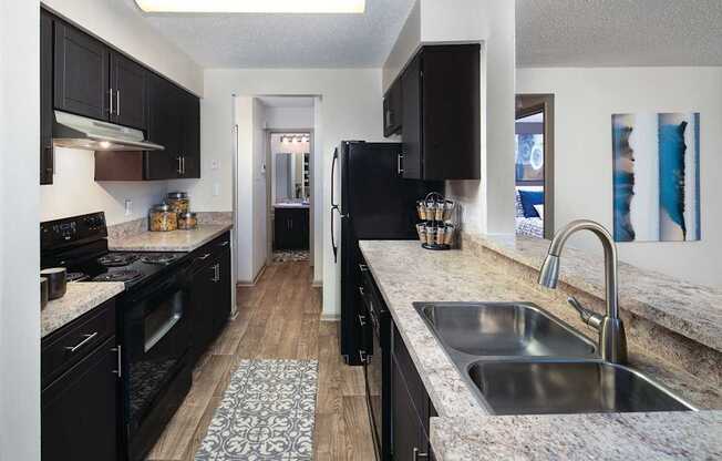 A kitchen with black cabinets and a patterned rug on the floor.