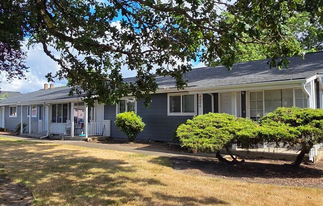 481-Satter Dr