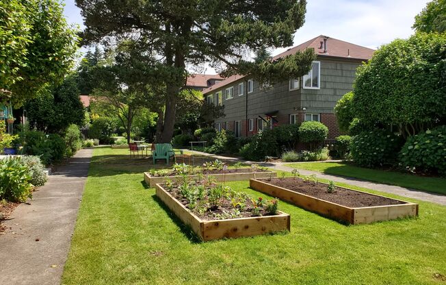 1 bed, 1 bath, 624 sqft, $1,395, Unit A11