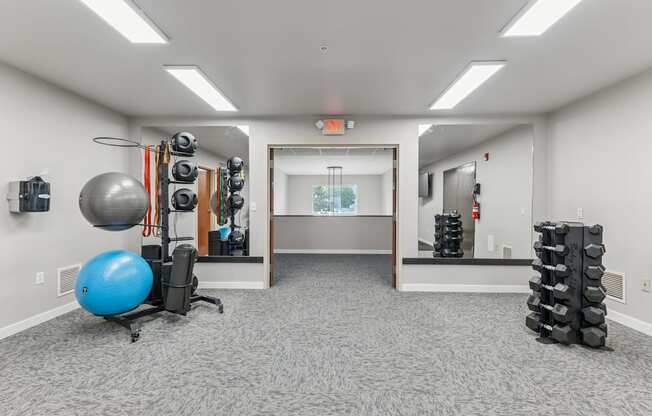 A room with a blue exercise ball and a rack of dumbbells.