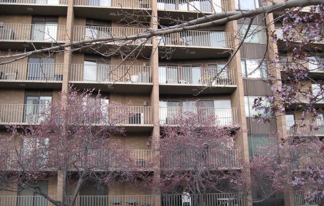 245 N Vine Street