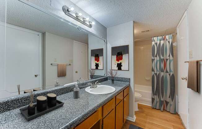 A bathroom with a granite countertop and a large mirror.