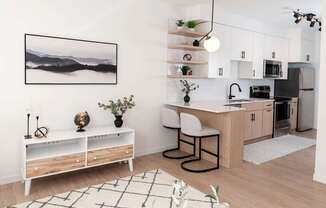 Upscale Apartments in Longfellow, Minneapolis, MN