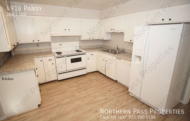 4916 PANSY