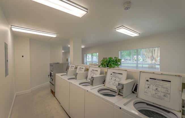 a washer and dryer room with a row of washing machines