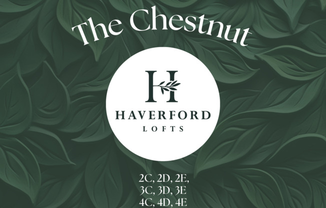 Haverford Lofts