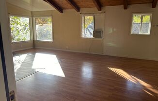 Studio, 1 bath, 1,000 sqft, $1,850, Unit B