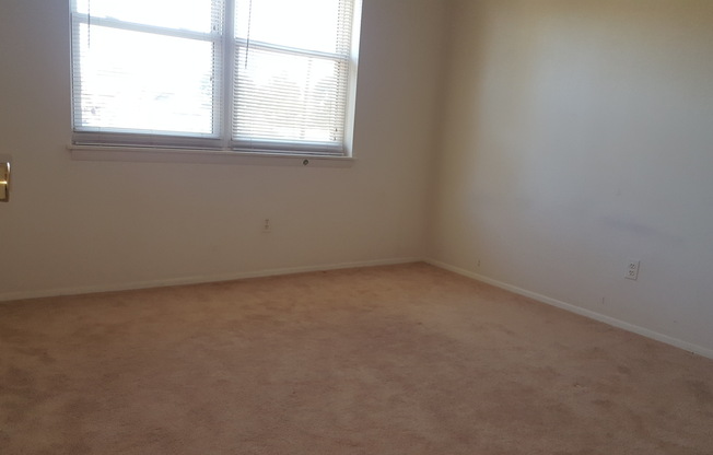 2 beds, 1 bath, $1,250, Unit APARTMENT E