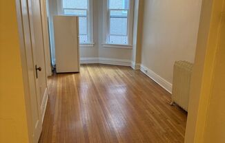 Studio, 1 bath, 290 sqft, $1,150, Unit 207