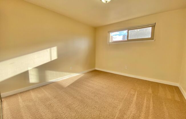 1 bed, 1 bath, 495 sqft, $1,595, Unit 303