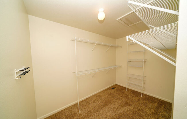 Walk In Closet with Organizers at Foxwood and The Hermitage, Portage, MI