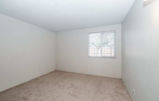 a bedroom with white walls and carpet