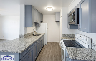 633 NALANUI STREET  APT 313