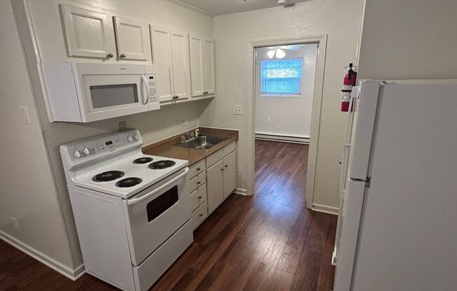 1 bed, 1 bath, 388 sqft, $995, Unit 03